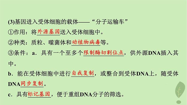 2024版高考生物一轮总复习第10单元生物技术与工程第40课基因工程课件07