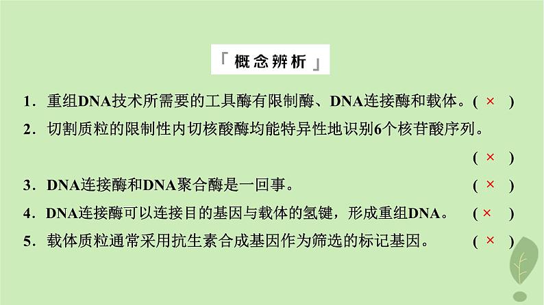 2024版高考生物一轮总复习第10单元生物技术与工程第40课基因工程课件08