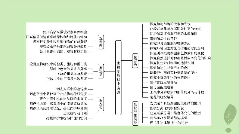 2024版高考生物一轮总复习第11单元教材基础类实验课件03