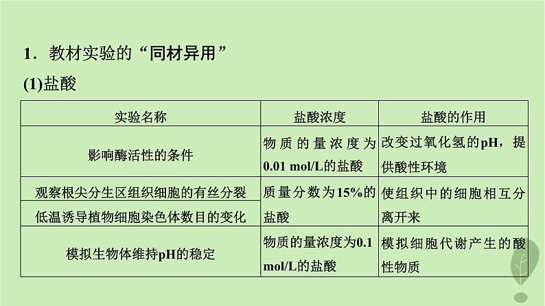 2024版高考生物一轮总复习第11单元教材基础类实验课件05