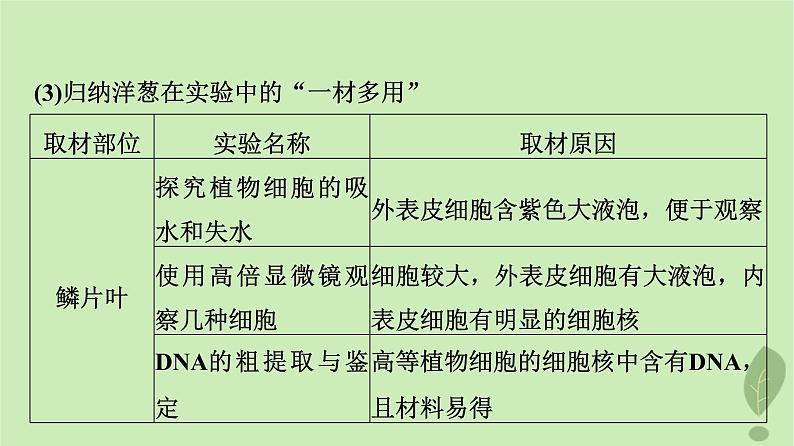 2024版高考生物一轮总复习第11单元教材基础类实验课件08