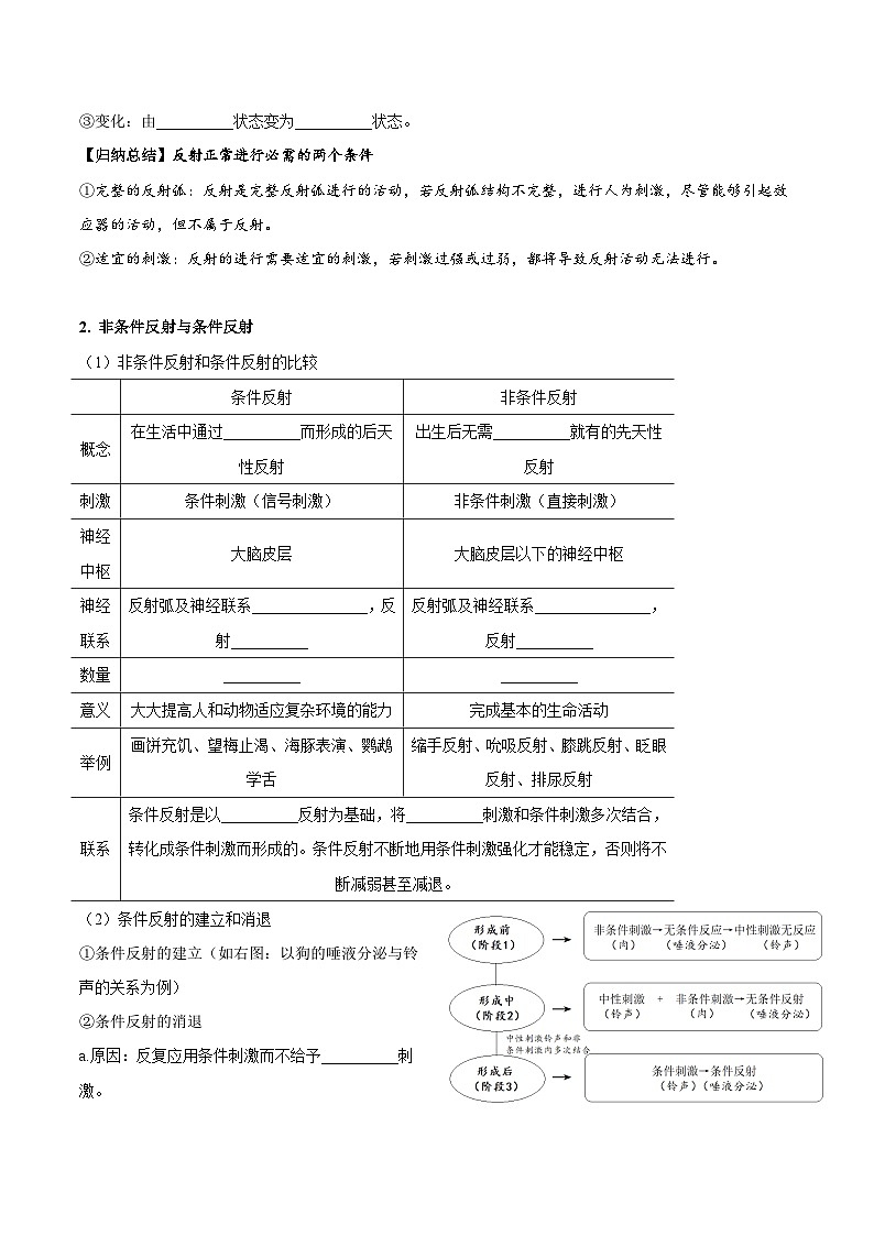 2.2 神经调节的基本方式（教师版）-高二生物同步讲义（人教版选择性必修1）第3页