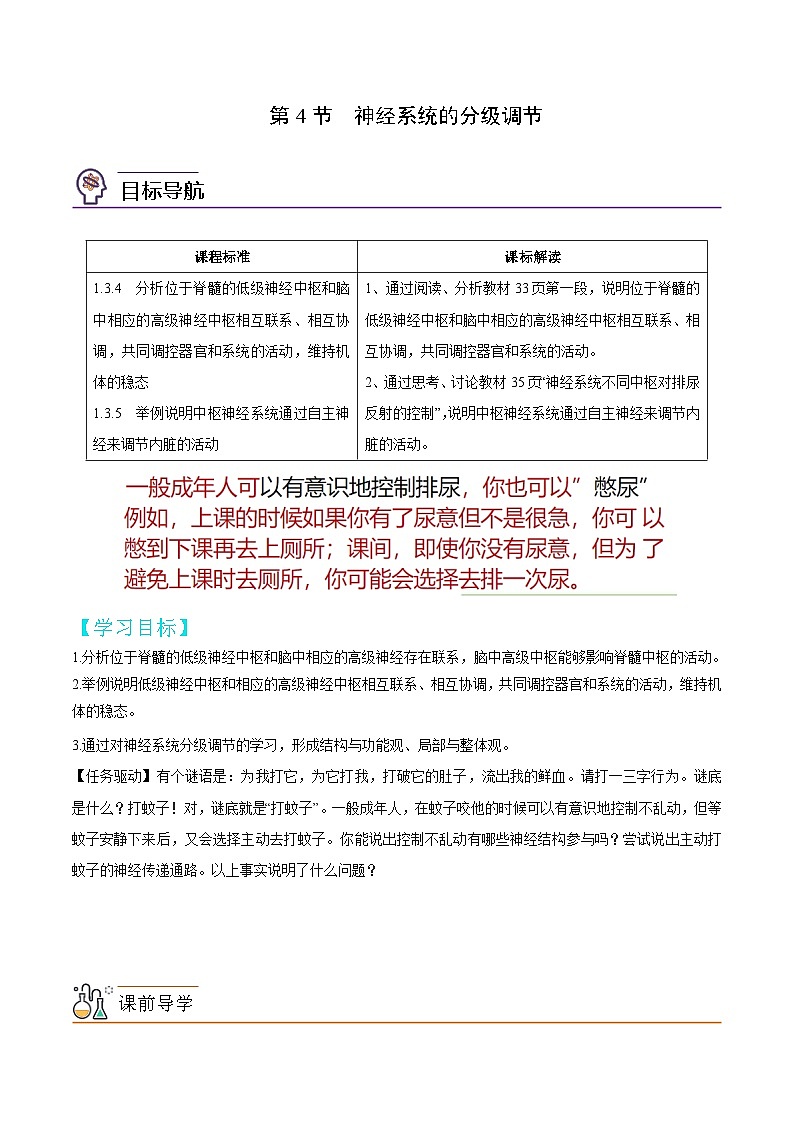 2.4 神经系统的分级调节（教师版）-高二生物同步讲义（人教版选择性必修1）第1页