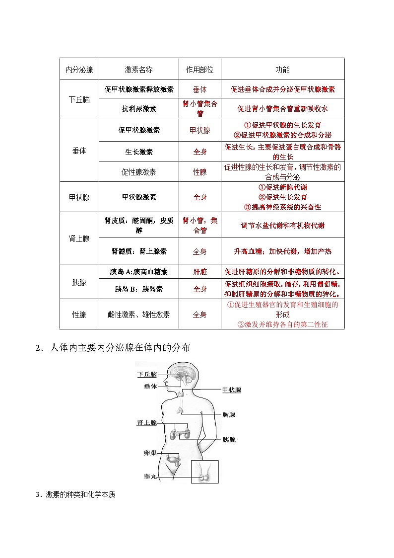 3.1 激素与内分泌系统-高二生物同步讲义（人教版选择性必修1）03
