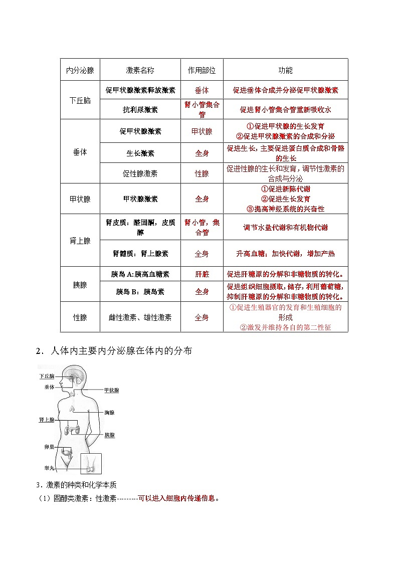 3.1 激素与内分泌系统-高二生物同步讲义（人教版选择性必修1）03