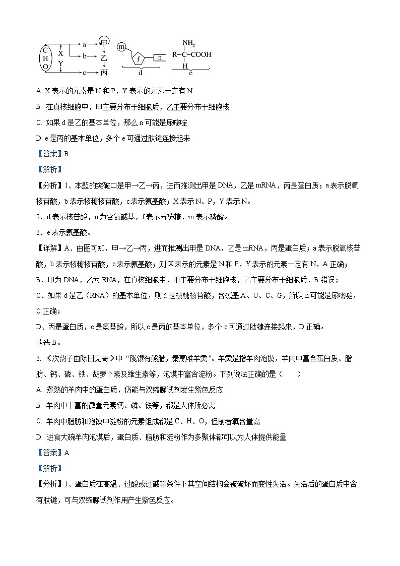 吉林省长春市十七中2022-2023学年高二下学期期末生物试题02