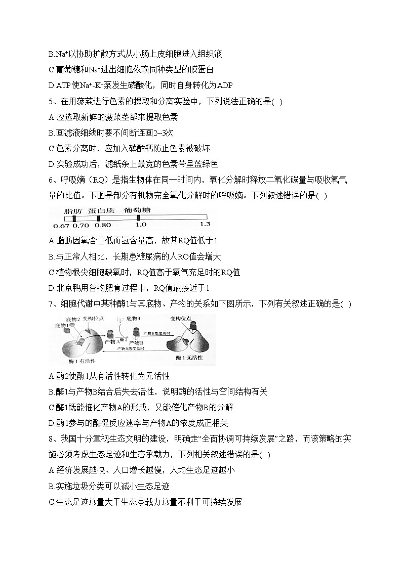 辽宁省丹东市2022-2023学年高二下学期期末考试生物试卷（含答案）02