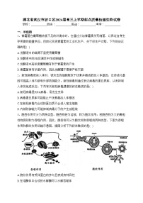 湖北省武汉市硚口区2024届高三上学期起点质量检测生物试卷（含答案）