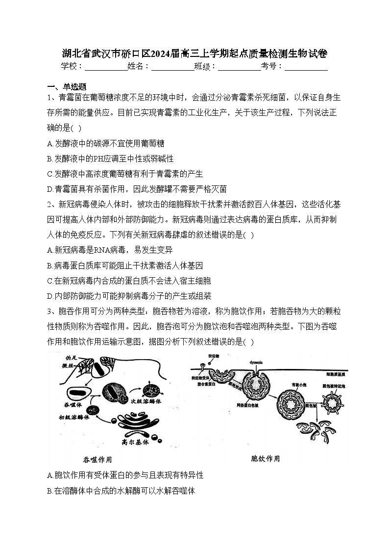 湖北省武汉市硚口区2024届高三上学期起点质量检测生物试卷（含答案）第1页