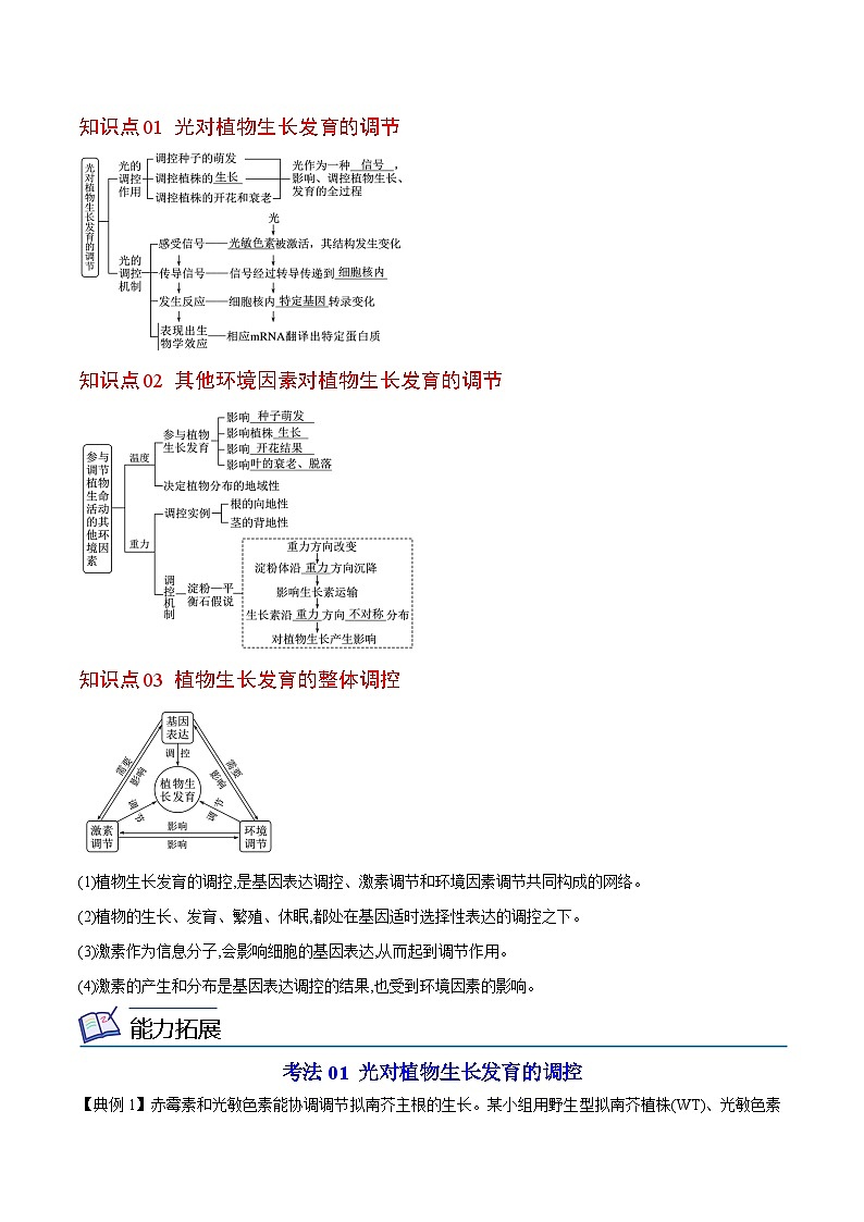 5.4 环境因素参与植物的生命活动-高二生物同步讲义（人教版选择性必修1）03