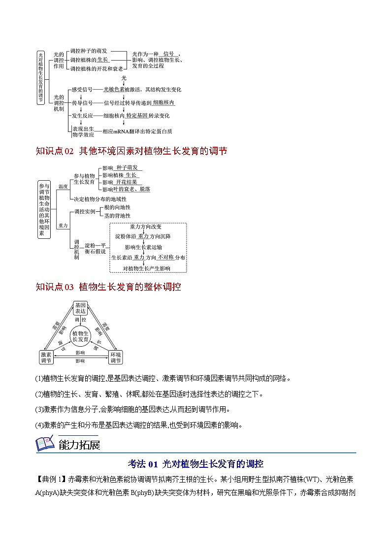 5.4 环境因素参与植物的生命活动-高二生物同步讲义（人教版选择性必修1）03
