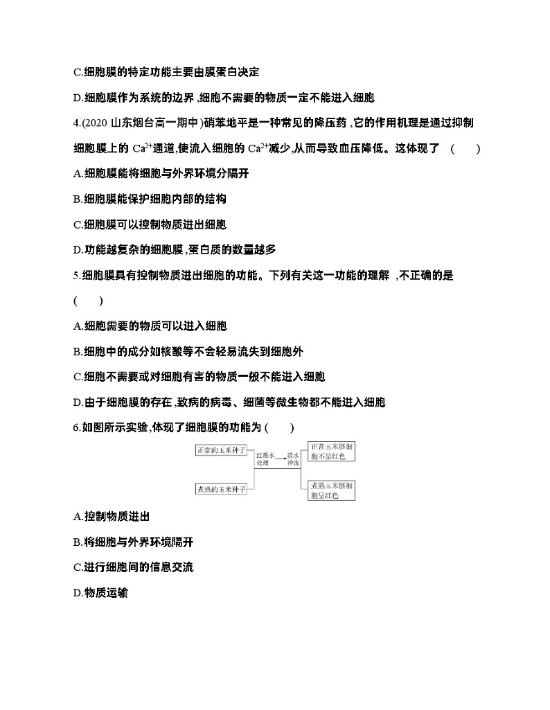 高中生物人教版（2019）必修1第三章3.1《细胞膜的结构和功能》课件+同步练习02