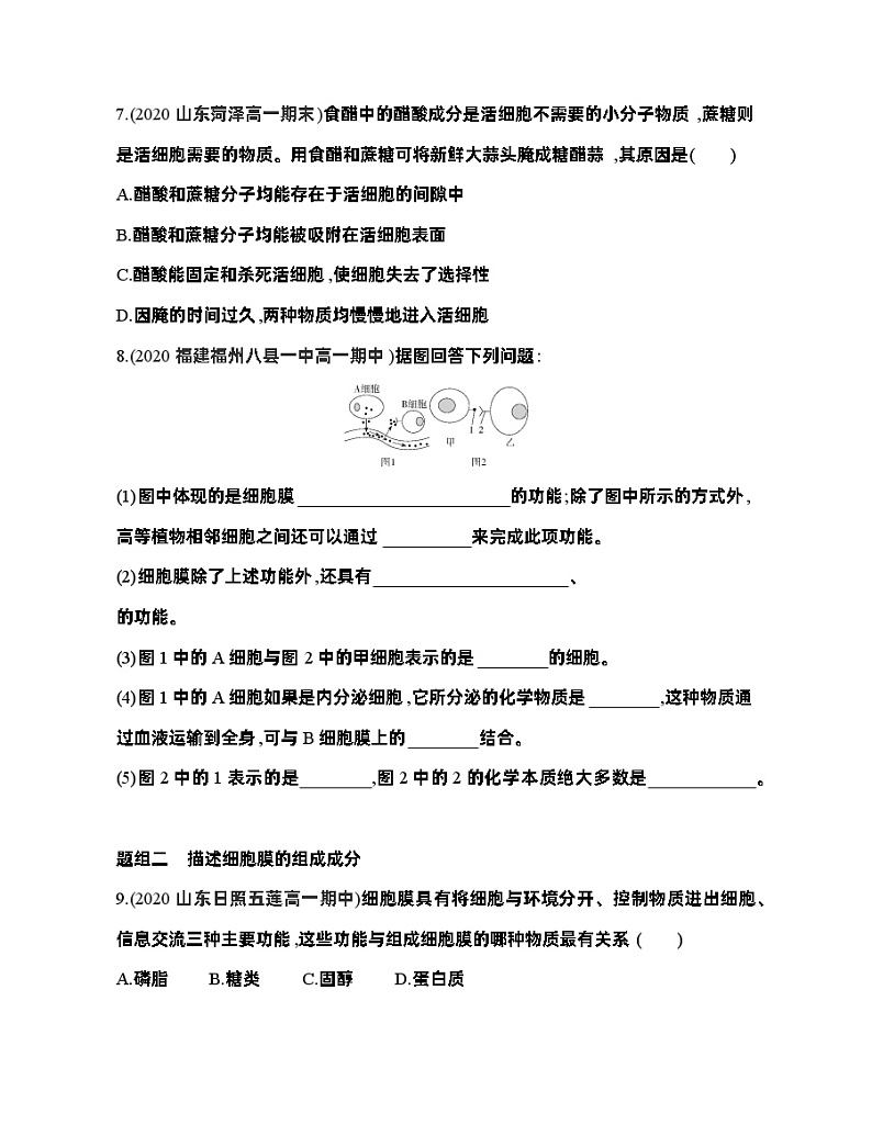 高中生物人教版（2019）必修1第三章3.1《细胞膜的结构和功能》课件+同步练习03