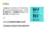 高中生物人教版（2019）必修1第二章2.5《核酸是遗传信息的携带者》课件+同步练习