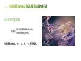 高中生物人教版（2019）必修1第二章2.5《核酸是遗传信息的携带者》课件+同步练习