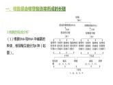 高中生物人教版（2019）必修1第二章2.5《核酸是遗传信息的携带者》课件+同步练习