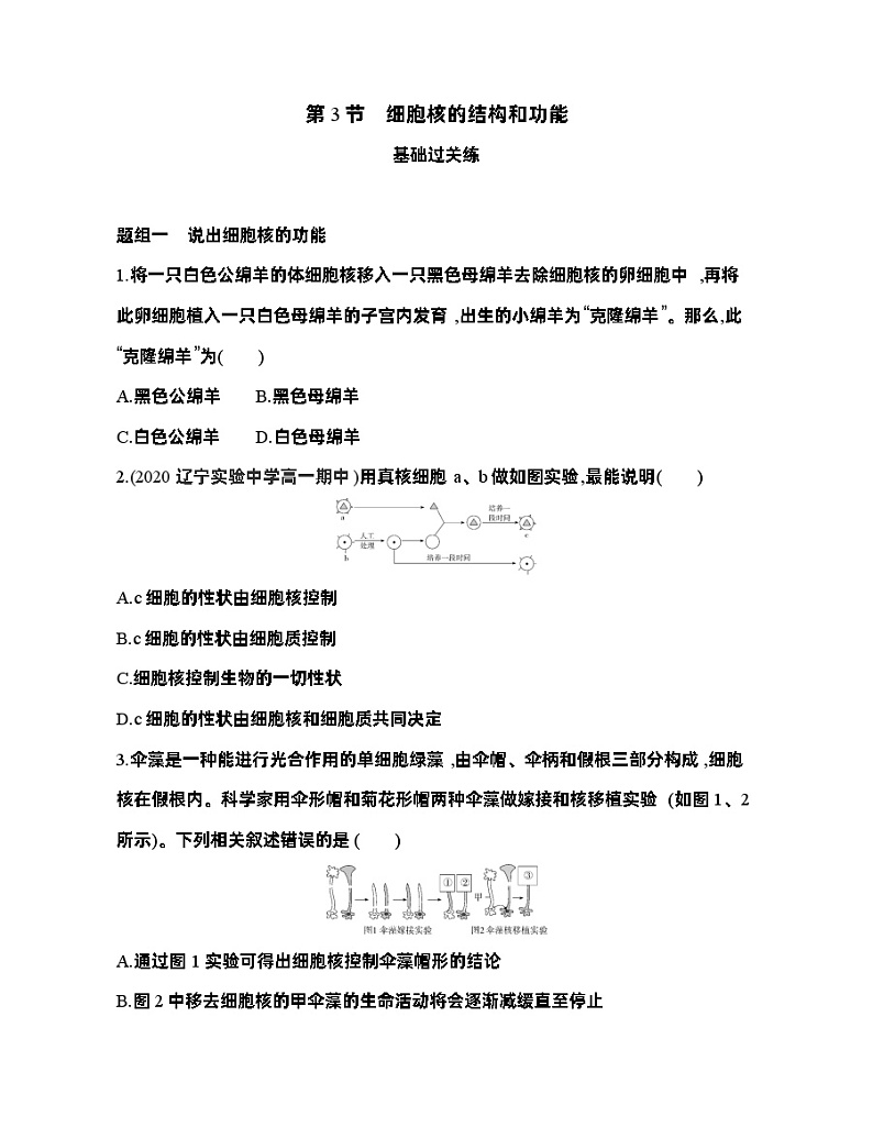 高中生物人教版（2019）必修1第三章3.3《细胞核的结构和功能》课件+同步练习01