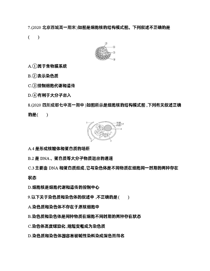高中生物人教版（2019）必修1第三章3.3《细胞核的结构和功能》课件+同步练习03