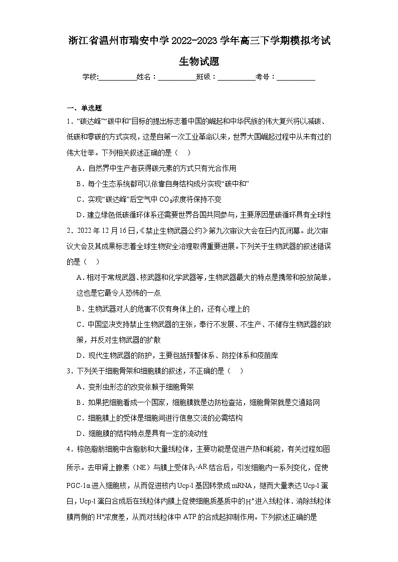 浙江省温州市瑞安中学2022-2023学年高三下学期模拟考试生物试题（含解析）第1页