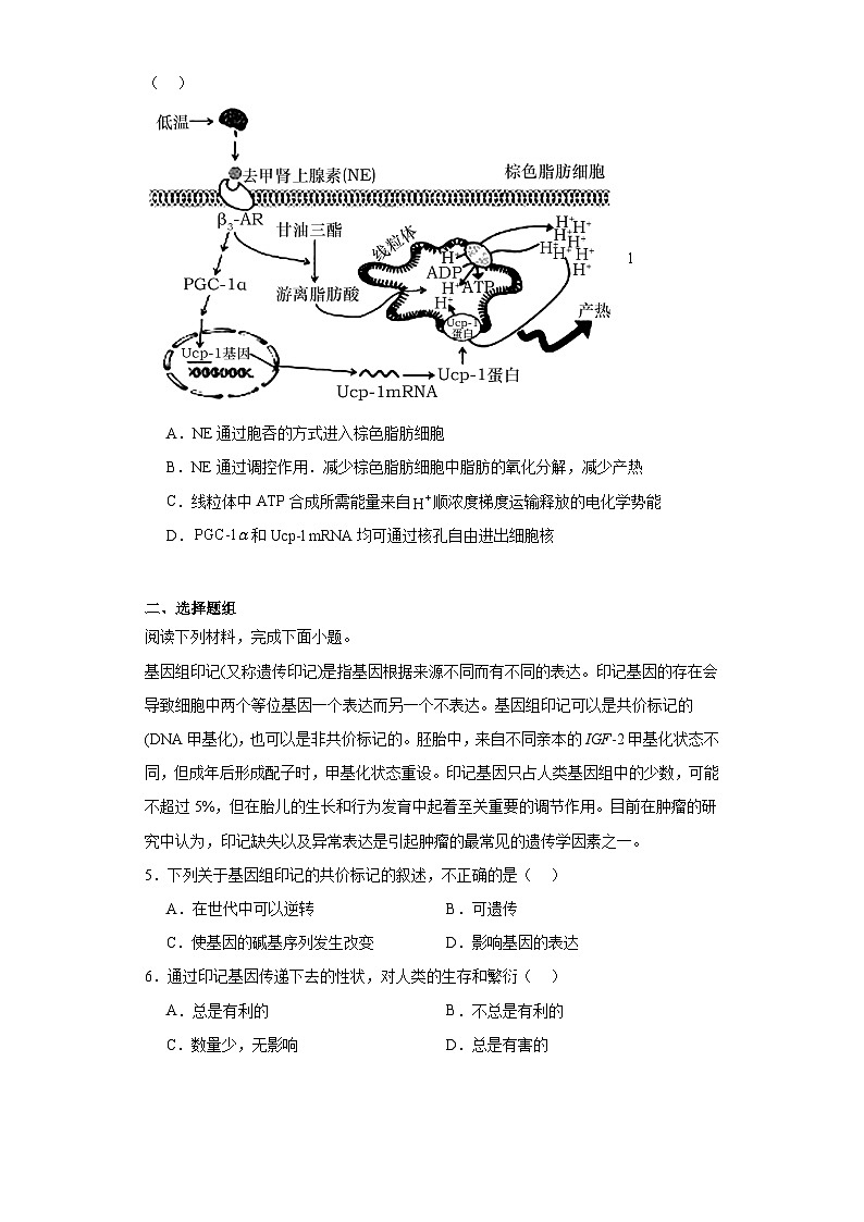 浙江省温州市瑞安中学2022-2023学年高三下学期模拟考试生物试题（含解析）第2页