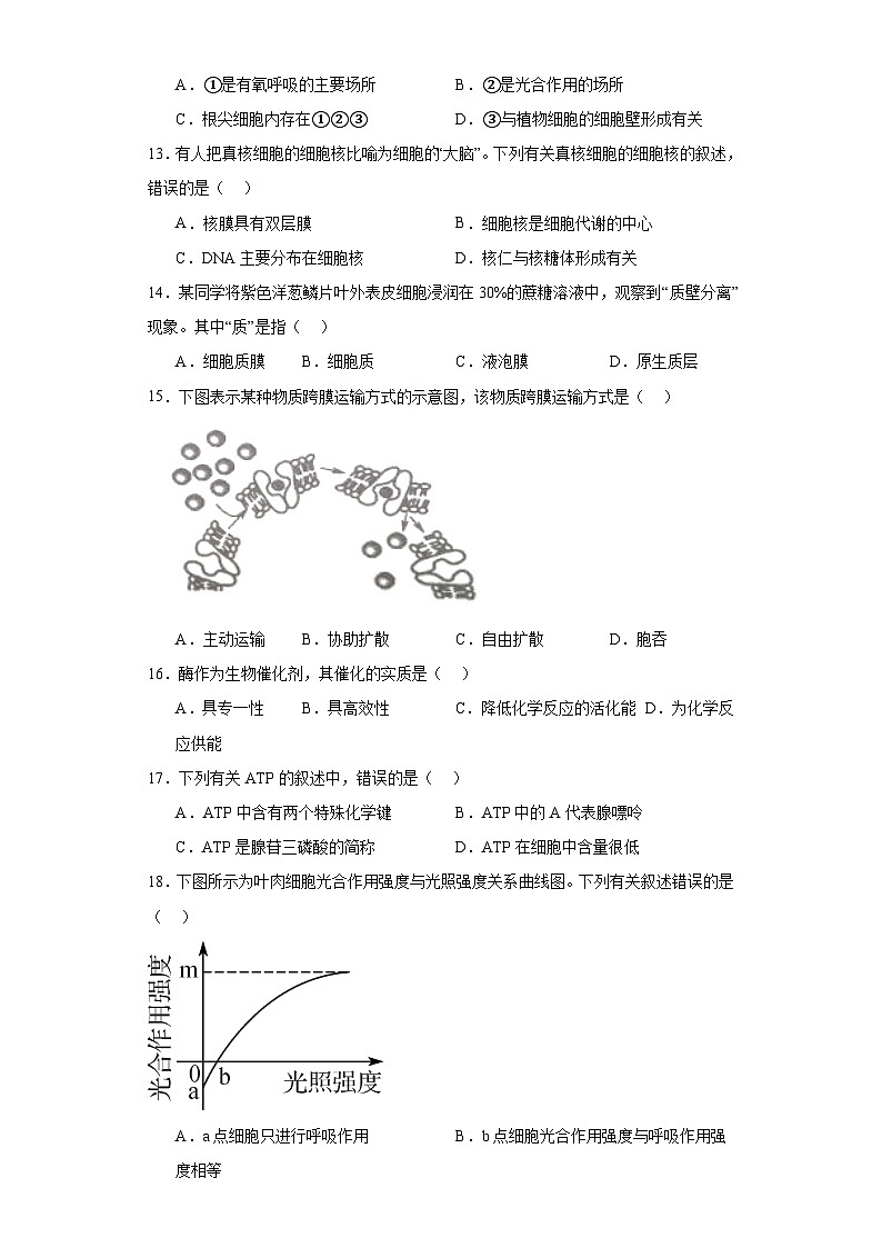 江苏省盐城市2022-2023学年高二上学期学业水平模拟考试生物试题（含解析）03