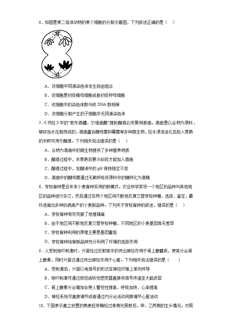 2023届吉林省白山市高三一模生物试题（含解析）02