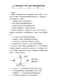 2023届海南省海口市等4地高三模拟预测生物试题（含解析）