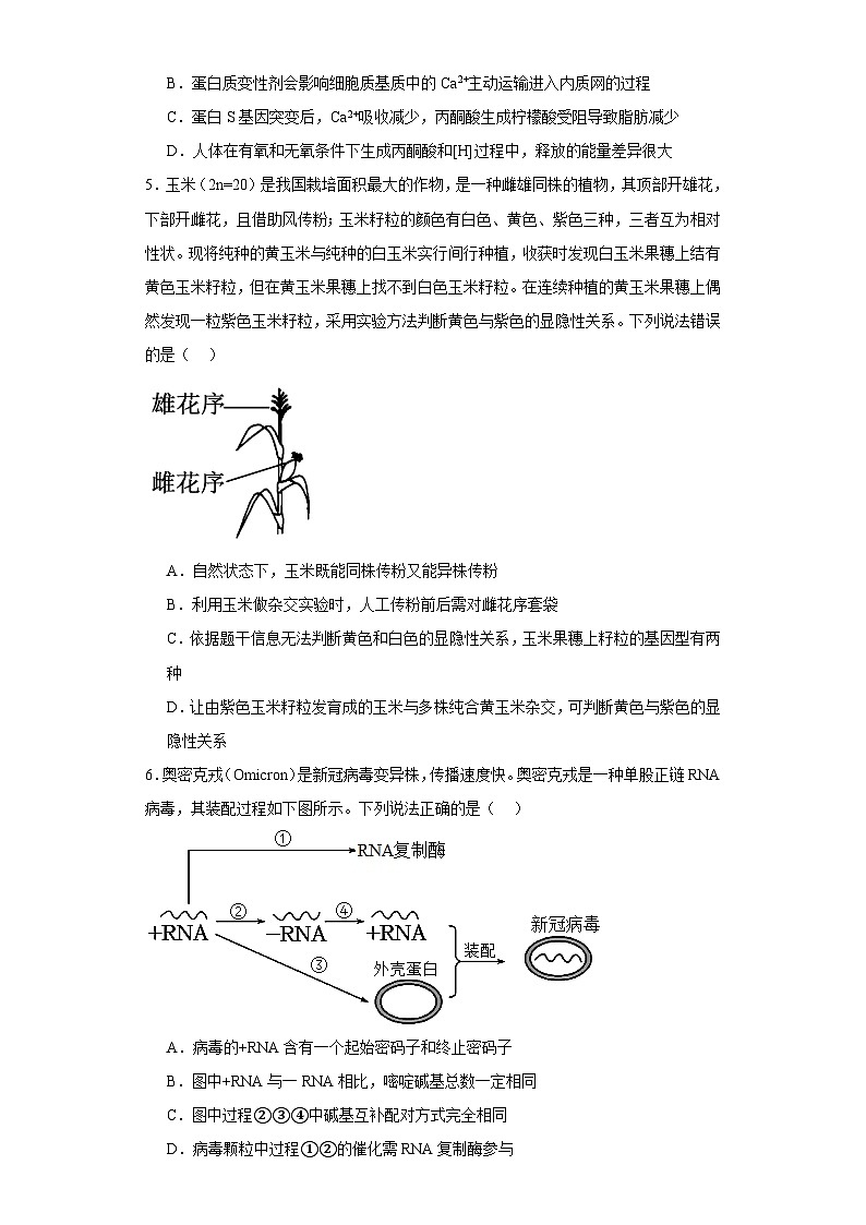 2023届广东省梅州市大埔县普通高中学业水平选择性考试生物冲刺卷（二）（含解析）02