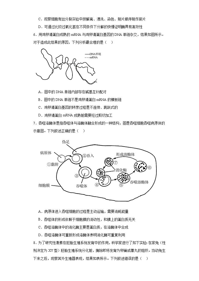 2023届广东省佛山市二中等2校高三一模生物试题（含解析）02