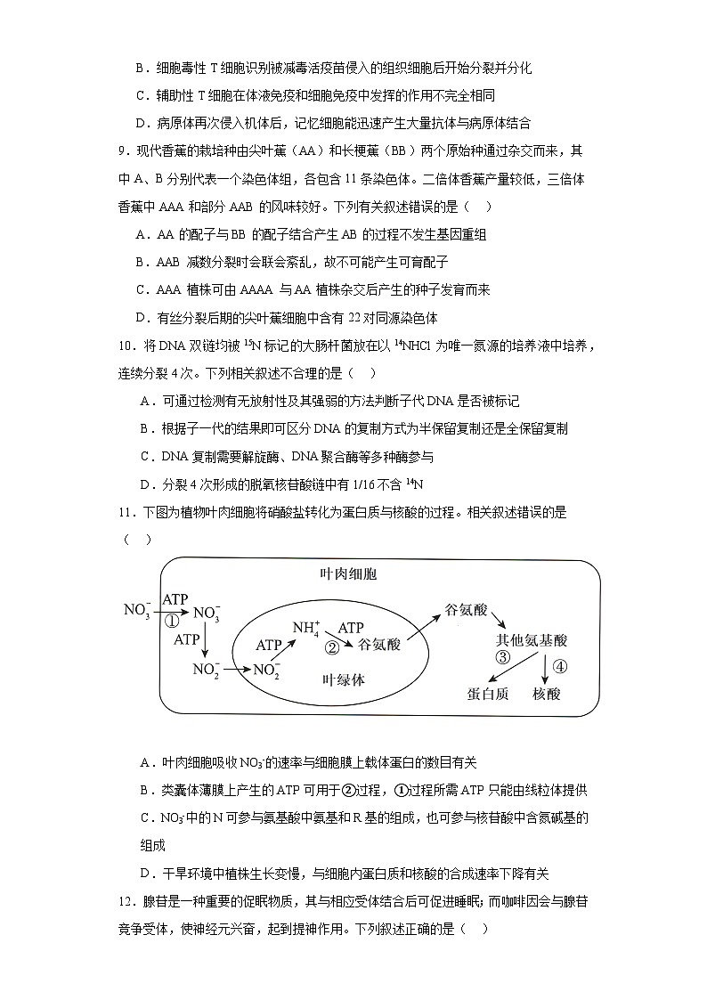 2023届河北省盐山中学高三三模生物试题（含解析）03