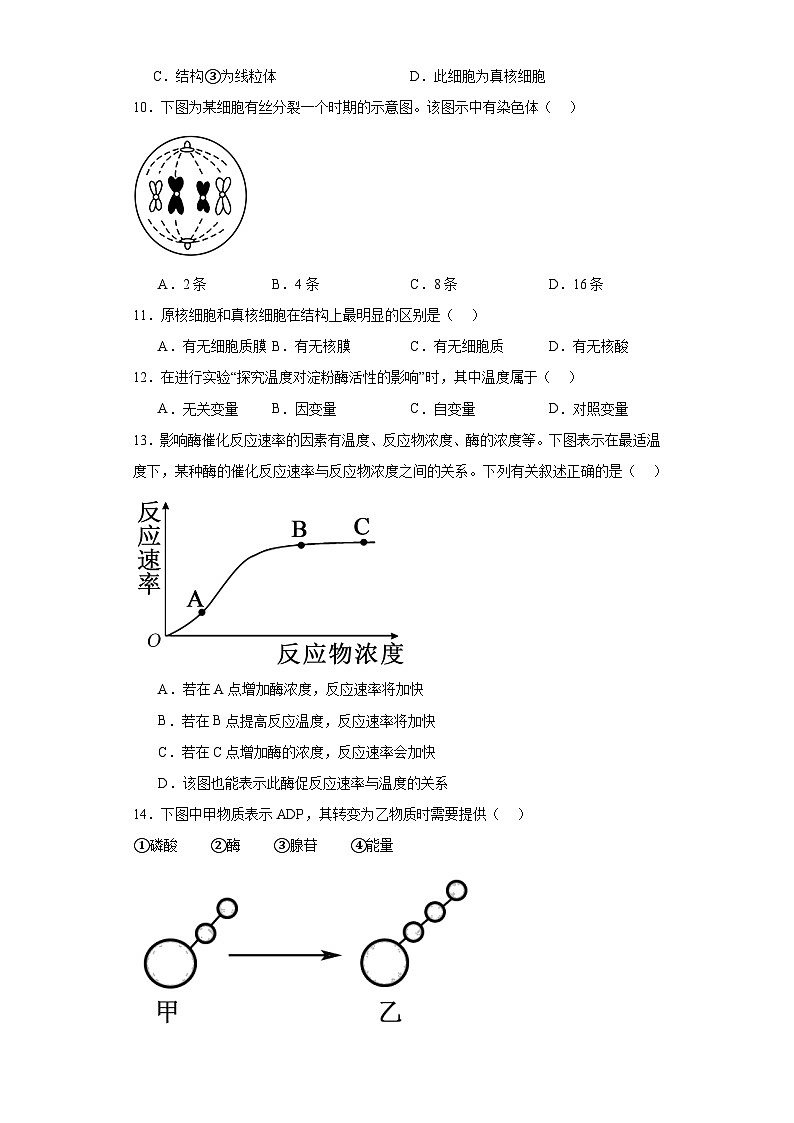 江苏省南京市宁海中学2022—2023学年普通高中学业水平合格性考试6月模拟生物试题（含解析）02
