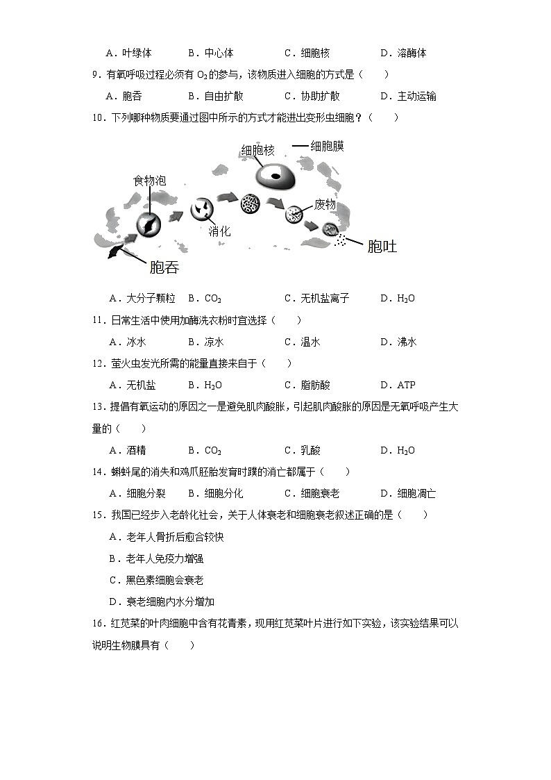 黑龙江省哈尔滨市三中2022-2023学年高一下学期学业水平模拟考试生物试题（含解析）02