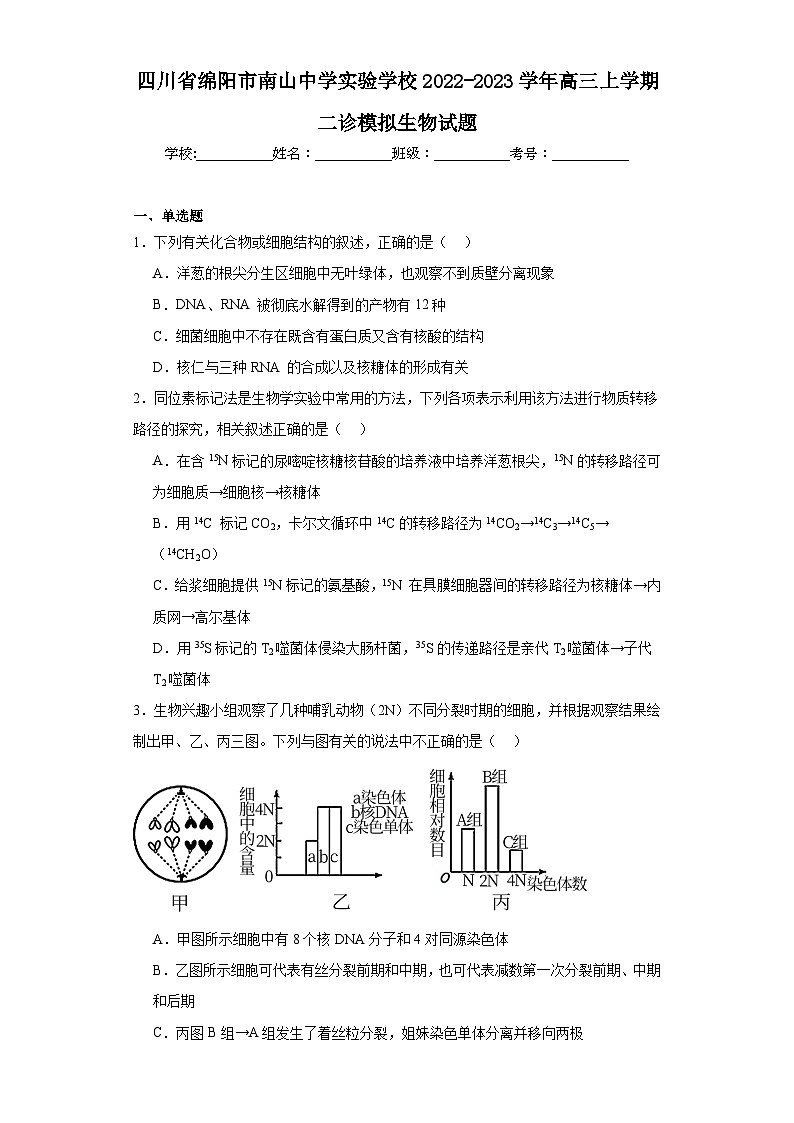 四川省绵阳市南山中学实验学校2022-2023学年高三上学期二诊模拟生物试题（含解析）01