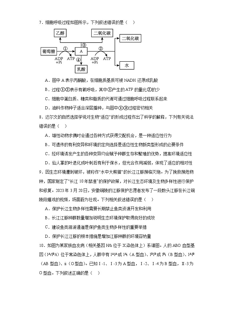 2023届湖南省衡阳市名校协作体高三全真模拟适应性考试生物试题（含解析）第3页