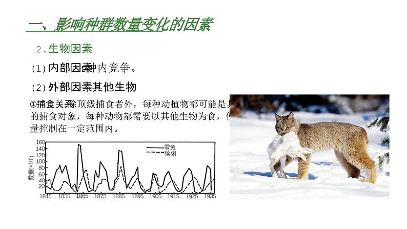 高中生物人教版（2019）选择性必修2第一章1.3《影响种群数量变化的因素》课件第7页
