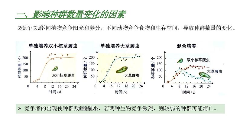 高中生物人教版（2019）选择性必修2第一章1.3《影响种群数量变化的因素》课件第8页