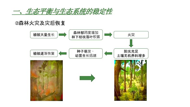 高中生物人教版（2019）选择性必修2第三章3.5《生态系统的稳定性》课件+同步练习06