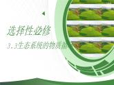 高中生物人教版（2019）选择性必修2第三章3.2《生态系统的能量流动》课件+同步练习