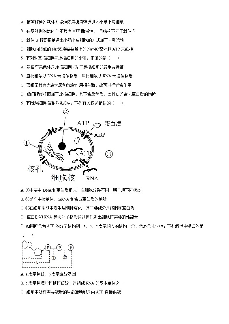 江苏省南京市江宁区2022-2023高二下学期期末生物试卷+答案02