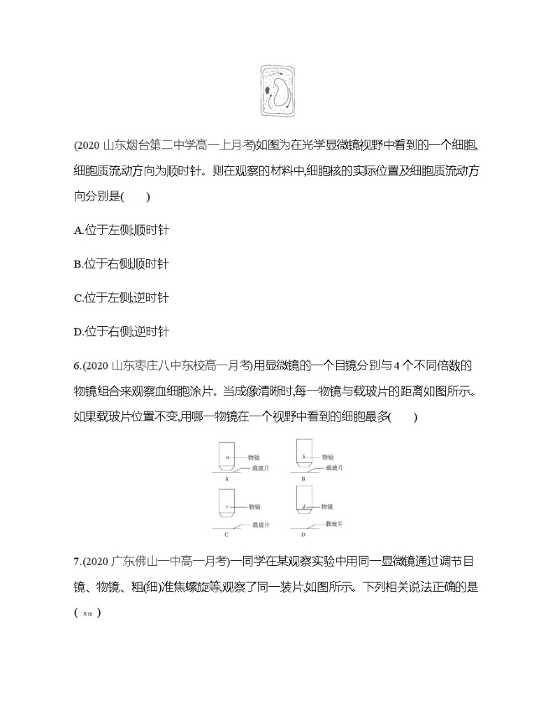 高中生物人教版（2019）必修1第一章1.2《细胞的多样性和统一性》课件+同步练习03