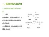 高中生物人教版（2019）必修1第二章2.4《蛋白质是生命活动的主要承担者》课件+同步练习