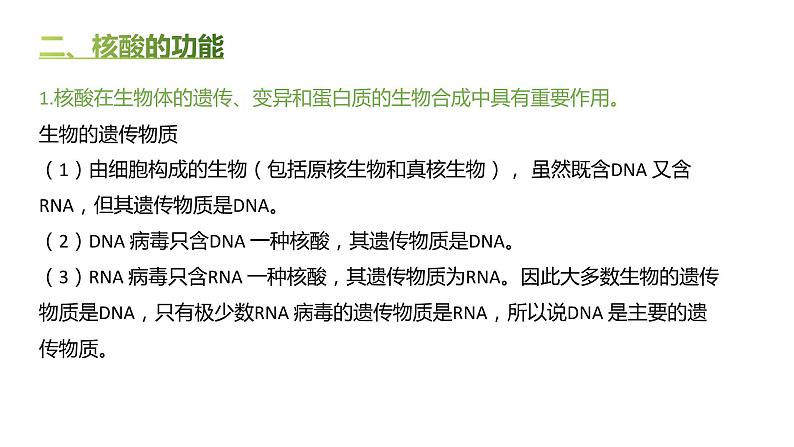 高中生物人教版（2019）必修1第二章2.5《核酸是遗传信息的携带者》课件+同步练习07