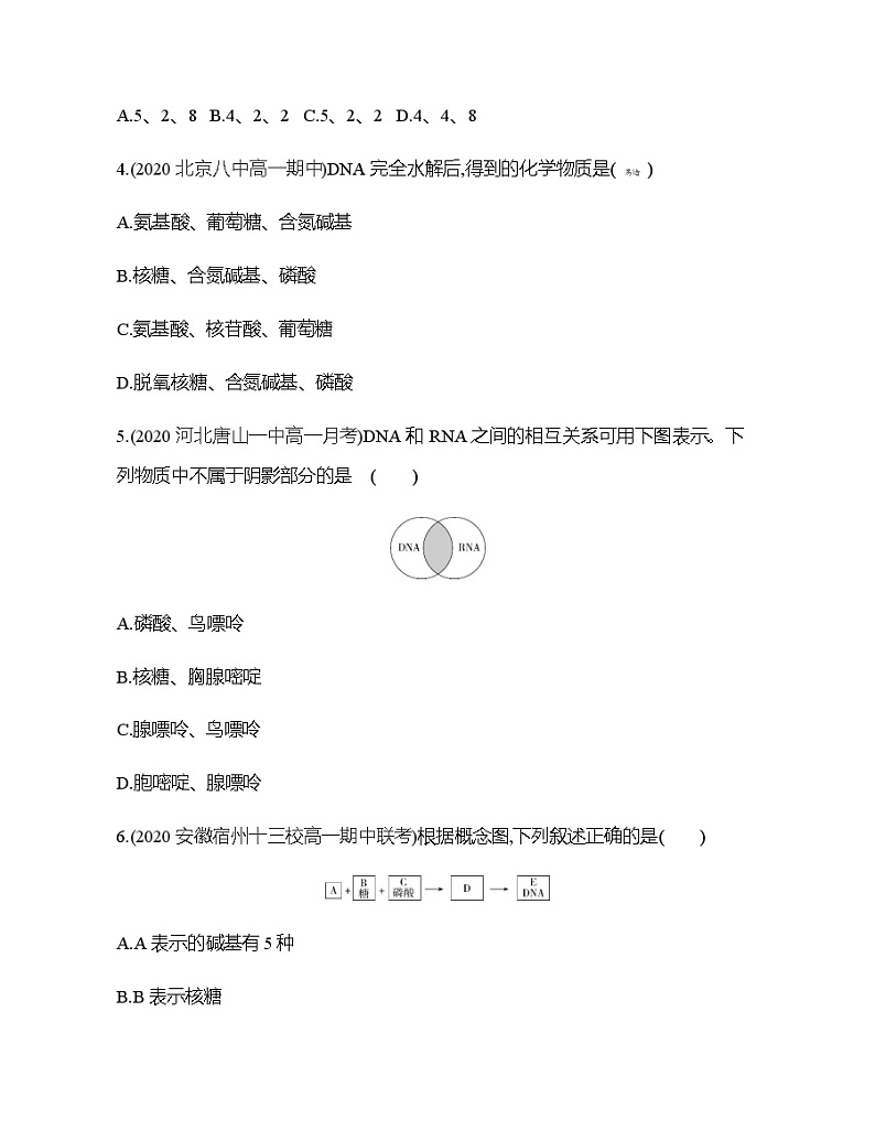 高中生物人教版（2019）必修1第二章2.5《核酸是遗传信息的携带者》课件+同步练习02