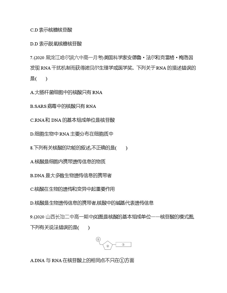 高中生物人教版（2019）必修1第二章2.5《核酸是遗传信息的携带者》课件+同步练习03