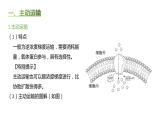 高中生物人教版（2019）必修1第四章4.2《主动运输与胞吞、胞吐》课件+同步练习