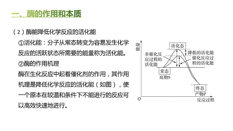 高中生物人教版（2019）必修1第五章5.1《降低化学反应活化能的酶》课件+同步练习04