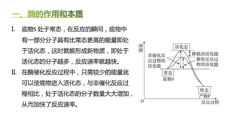 高中生物人教版（2019）必修1第五章5.1《降低化学反应活化能的酶》课件+同步练习05