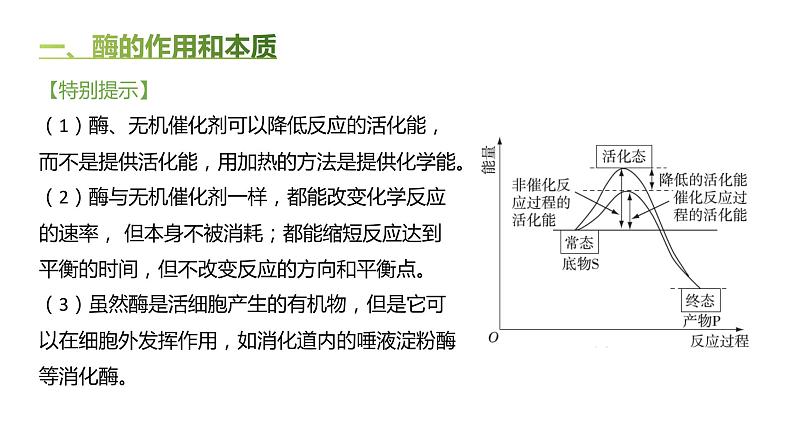 高中生物人教版（2019）必修1第五章5.1《降低化学反应活化能的酶》课件+同步练习06