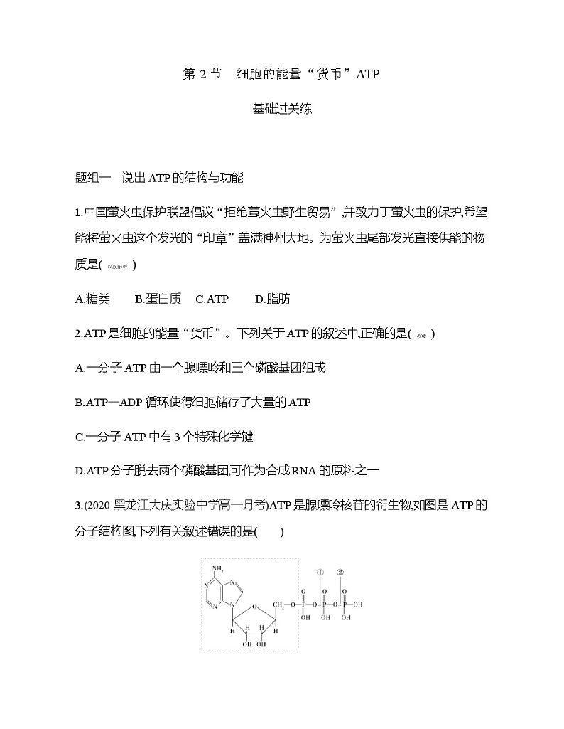 高中生物人教版（2019）必修1第五章5.2《细胞的能量“货币”ATP》课件+同步练习01