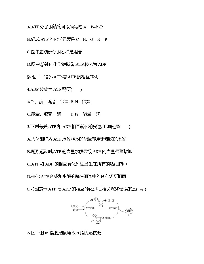 高中生物人教版（2019）必修1第五章5.2《细胞的能量“货币”ATP》课件+同步练习02
